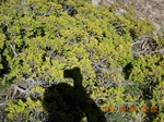 2012-09-27_14-25-41_168.JPG