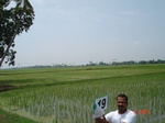 12623016d-irrigated-canal-rice-delta.gif