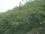 2012-09-08_18-23-57_RIMG0035.JPG