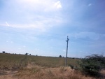 56162CIMG6866.JPG