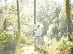 11269gt084-forest-2.jpg