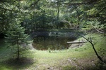 2012-09-03_12-30-49_low pond 2 (1 of 1).jpg