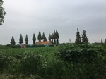 2017-09-10_20-48-46_1FCE8EFC-A198-4FE0-92D4-6BE4602159EE.jpg
