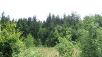2016-07-27_09-26-04_DSCF1873.JPG