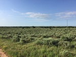 2017-07-12_13-39-18_51D00895-8618-4E74-86C1-7C2760F6AD13.jpg
