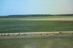 2022-06-11_17-54-46_18E36434-E64A-4B7C-A3D1-D3ABE30D3BEB.jpeg