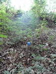 2012-09-24_10-40-16_DSC03043.JPG