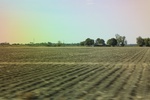 2022-06-11_17-39-24_BD7824F2-4F75-4598-BEC9-70B996970625.jpeg