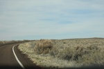 2017-05-11_16-11-06_2017-03-18 16.34.19.jpg