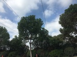 2017-09-12_12-38-57_C20D5230-F43D-4D3B-9F81-601A36901720.jpg