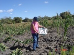 10914gt-120-wetland-moist-seasonal-crops-02.jpg
