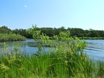 21429P1010047.JPG