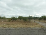 35803DSC02565.JPG