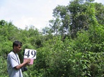 831849-scruland-dense-3.5m-a.jpg