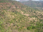 505520042008(97).JPG