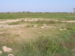 440020071010gps 051.jpg