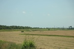 2022-05-26_14-22-12_EB592142-0746-4264-872C-42D21139F38D.jpeg