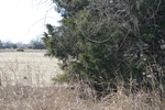 10136Field Survey 1 025.JPG