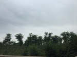 2017-09-10_20-42-07_467DE4C0-E11E-4EF8-8B3D-4E229F84623E.jpg