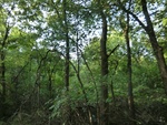 2012-09-21_16-12-25_CIMG2999.JPG