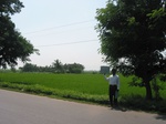 7934gt140b_intence_ricecrop_under_krishna_barriage.jpg