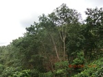 2012-09-26_20-48-18_CIMG1001.JPG
