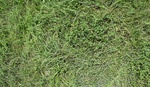 2017-07-03_14-03-05_SSW.jpg