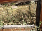 2012-10-04_13-59-46_CO-JF-157_0673.jpg