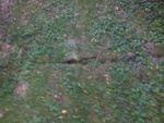 2012-09-21_21-43-32_IN-FY-2-1.JPG
