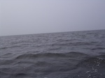2350 420.jpg