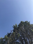 2020-09-28_19-57-26_c6ffedf464e82ccef234ca2a37fa7b13.jpg