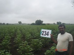 71710234a-rainfed-agriculture-cotton.jpg