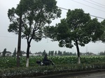 2017-09-10_08-37-28_228EBC91-ADB4-48D3-B41F-253BB68F1369.jpg