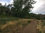 2017-07-06_06-24-07_851EFF94-71AE-44C2-8258-17DF5AC259AD.jpg
