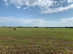 2020-08-07_10-17-33_2020-8-7-10-10-29.jpg