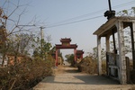 4488IMG_8411.jpg