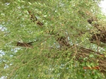2012-10-02_20-12-53_CIMG0096.JPG