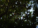 2012-10-17_19-50-07_376.JPG