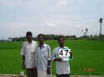 6265047b-irrigated-major-rice-double-crop.jpg