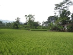 15223IMG_4044.JPG