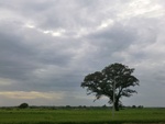 56032CIMG6721.JPG