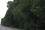 2022-06-12_15-25-21_83560025-0282-445C-8D6B-FFD16A4A130C.jpeg