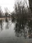 2018-02-24_16-58-26_FEF4C4CC-B33F-4FA6-A41D-8ABF6927A8F0.jpg