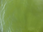 2012-09-21_14-26-31_CIMG3165.JPG