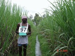6425097b-irrigated-canal-sugarcane-dominant-rice.jpg