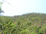 1789127042008(26).JPG