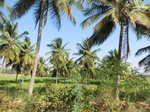 40545CIMG9528.JPG