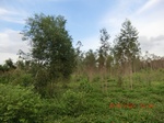 2012-09-26_20-49-54_CIMG1056.JPG