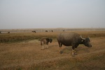 4185IMG_8823.JPG
