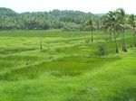 545311052008(18).JPG